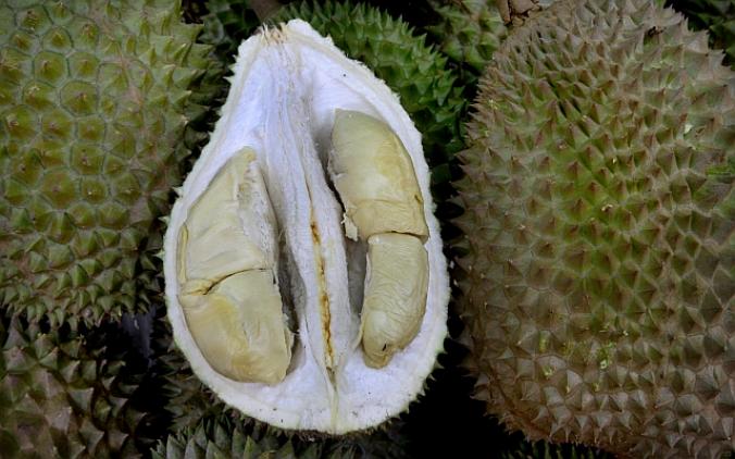 black-pearl-durian
