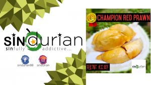 sin-durian