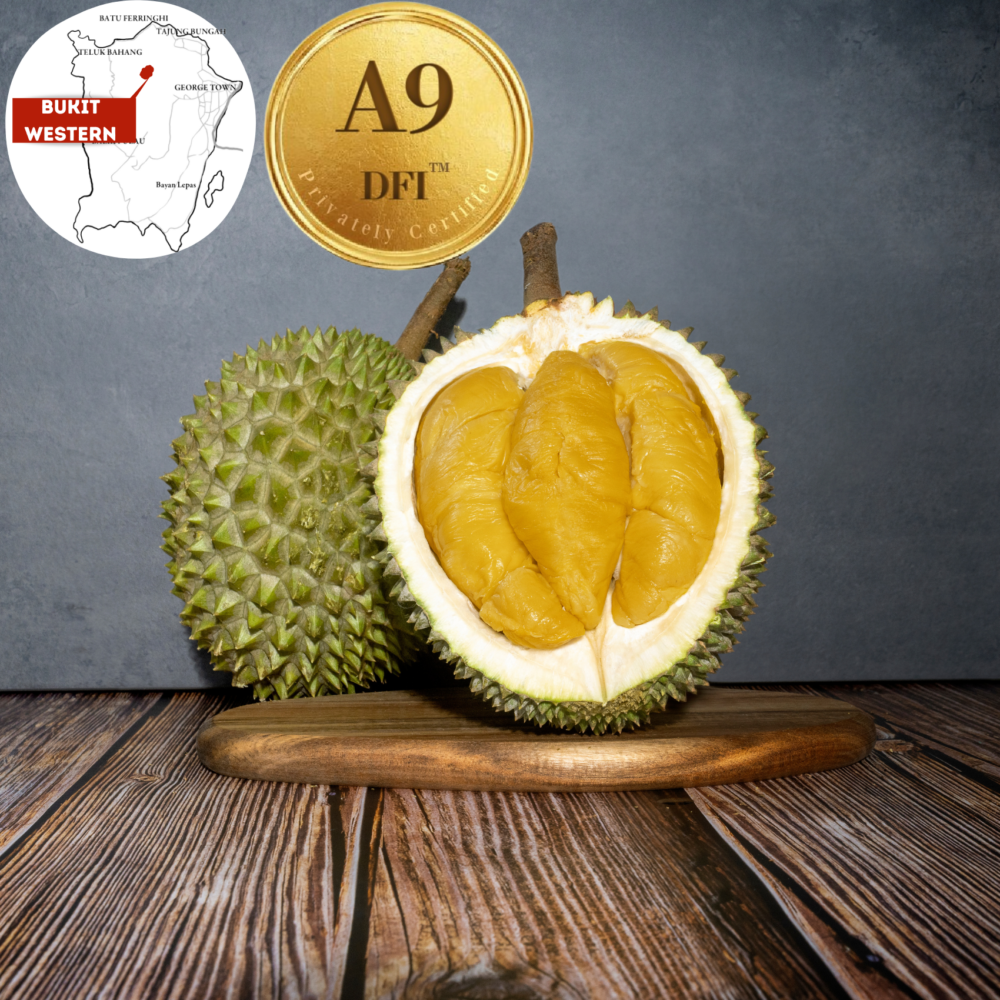 A9 Penang Old Tree MSW, Bukit Western (800g)